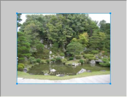 ぼかし(強)フィルタをかけた