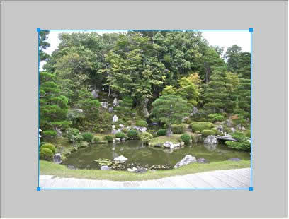 アンシャープマスク処理がされた