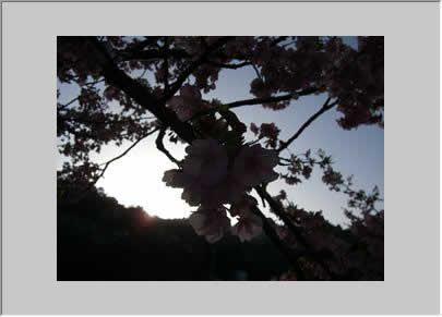 逆光で暗くなってしまった写真