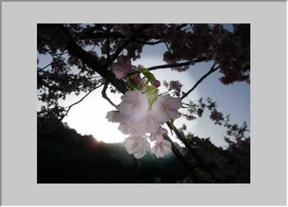 覆い焼きツールでクリックした部分が明るくなる