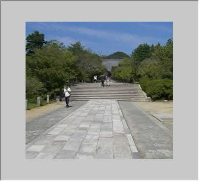 この写真の一部をシャープにする