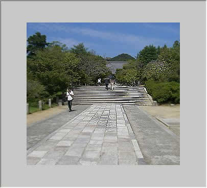 シャープツールでくっきりとした