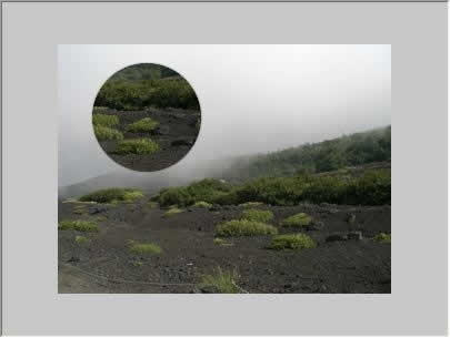 もう一度クリックするとコピーした画像を貼り付ける