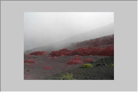 なぞった部分が赤く変換された