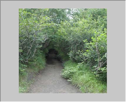 オブジェクトを選択