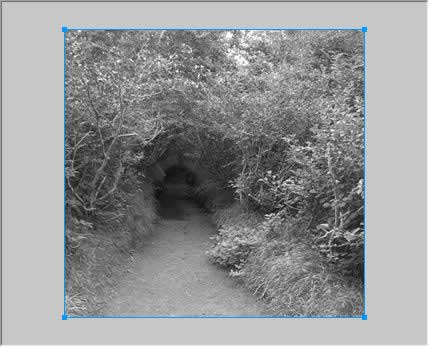 オブジェクトがグレースケールになった