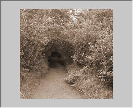 画像がセピア調になった