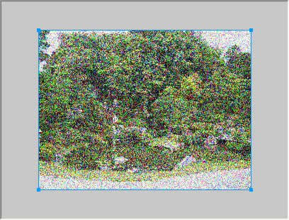 カラーのノイズ