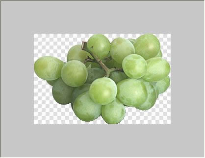 ブドウの画像
